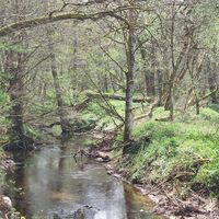 Idyllisches Rottal