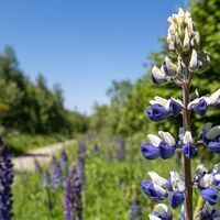 Wandern im Schmallenberger Sauerland