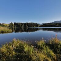 Badestelle am Kögelweiher