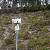 Abstieg zum Dürrholzer Kreuz