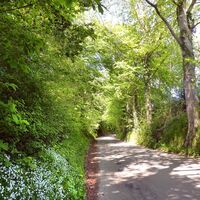 Hohlweg