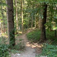 Pyhra Trail