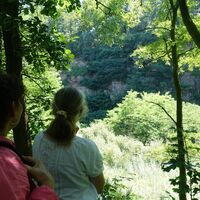 Blick in den Steinbruch bei Waldprechtsweier