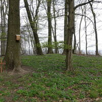 am Eichenleitenberg