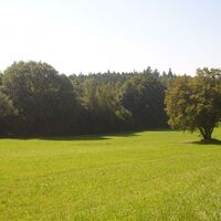 Hegne - Lichtung nach den Keltengräbern