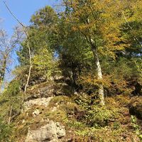 Felsen in der Schönecker Schweiz