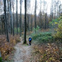 Auf dem Weg Richtung Schwarzenberg