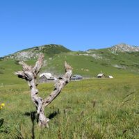Michlbauerhütte auf der Schneealm