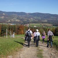 Wandern im Naturpark Pöllauer Tal in der Oststeiermark