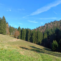 Rückweg in Richtung Hohwehraschlucht