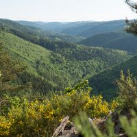 Blick ins Schwarzatal