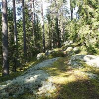 Hukkavuoren Naturpfad
