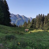 Auf dem Weg zum Hirschberg
