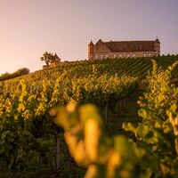 Burg Stettenfels | Untergruppenbach | HeilbronnerLand