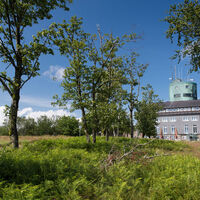Kahler Asten mit Astenturm