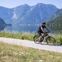 Radweg der Dachsteinrunde mit Seeblick