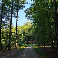 Wanderweg Nr. 10 des Marktes Fürstenzell in Ri. Heiligenbrunn