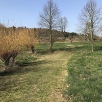 Zwischen der Kapelle in Baalborn und der L382