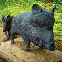 Wildschweine
