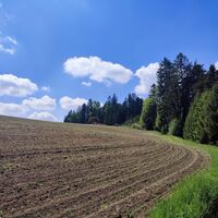 Anstieg über Feldweg nach Lanzendorf