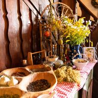 Die Kräuterspezialisten aus Oberweißbach im Fröbelhaus