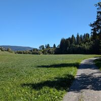 Bernau im Schwarzwald Über die Höhen entlang der Alb (5)