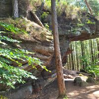 Hinterer Rappenkopf am Rodalber Felsenwanderweg