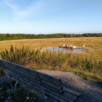 Naturschutzgebiet Kleiberg