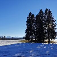 Winterwanderung Panoramaweg