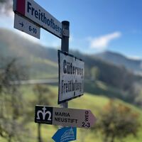 Freithofberg-Trail - Maria Neustift