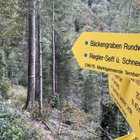 Kruckenbrettl - Trail
