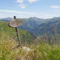 vor dem Gasseneck besuche ich noch den Tattermann
