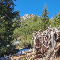 Blick Richtung Gipfel