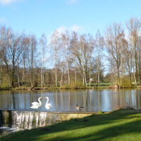 Schermbecker Mühlenteich - benachbart zum Eiscafé