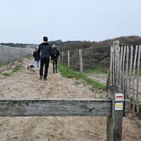 Rando Düne du Royon