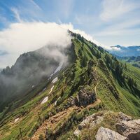 Auf dem Weg zur Winterstaude