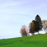 Friedenskreuz St. Oswald