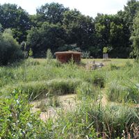 Moorlandschaft
