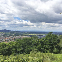 Ausblick ins Rheintal