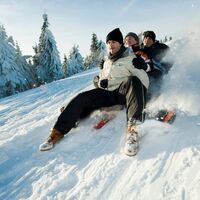 Rodeln im Thüringer Wald