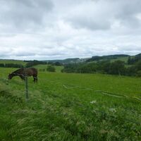 10-Nähe-Hainhof-Römerhof