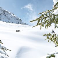 Schneeschuh in Lenzerheide