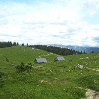 Almenlandschaft