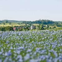 Blick auf Medelsheim in der Biosphäre Bliesgau