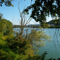 Rhein bei Waldshut