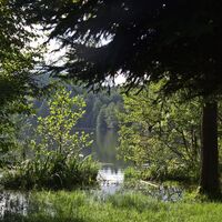 Links um den See