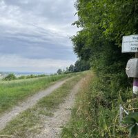 Geruhsam weiter mit moderater Steigung..