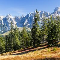 Wanderung entlang des Salzburger Almenweges