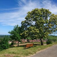 Rastplätze mit Aussicht gibt es genügend unterwegs!