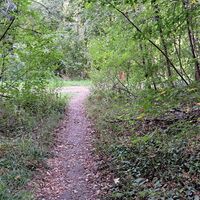 Weg zum Donaukraftwerk (DOKW)